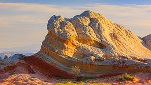 Die White Pocket, Vermilion Cliffs National Monument