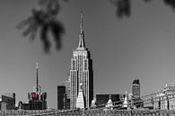 Empire State Building     New York van Kurt Krause thumbnail