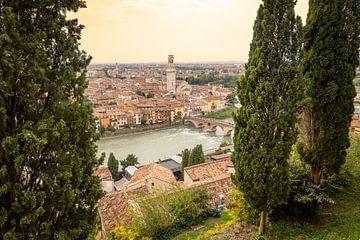 Verona - Italy