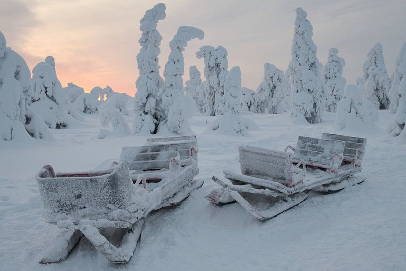 Sledge at sunset by Kurt Hayen