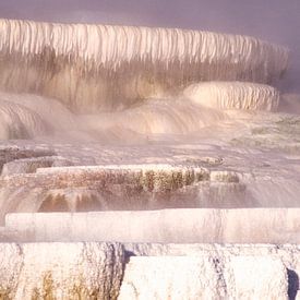 Mammoth Hot Springs in the morning mist, Yellowstone by Gerwin Schadl