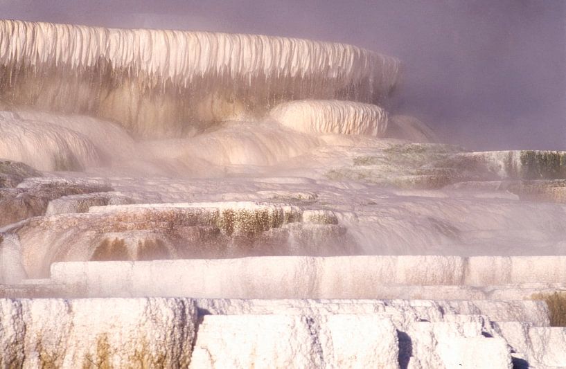 Mammoth Hot Springs in the morning mist, Yellowstone von Gerwin Schadl