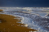 scum on the beach by Georges Hoeberechts thumbnail