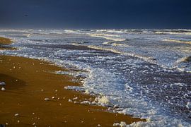 scum on the beach by Georges Hoeberechts