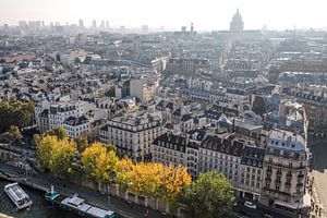 Blick von der Kathedrale Notre Dame auf die Altstadt von Paris