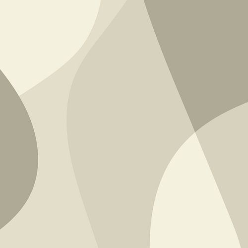 Golvende abstracte lijnen in neutrale kleuren nr. 9