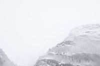 Vogels in de sneeuw in Zermatt