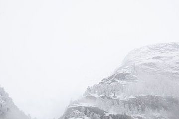 Vogels in de sneeuw in Zermatt van Mark Thurman