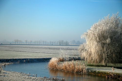 Winterlandschap in Nederland