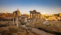 Forum Romanum van Ronne Vinkx thumbnail