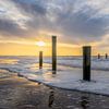 Zonsondergang, Palendorp, Petten van Carla Matthee