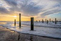 Sonnenuntergang, Palendorp, Petten