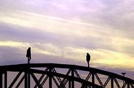 Brückenbegegnung Wiwilibrücke Freiburg von Patrick Lohmüller Miniaturansicht