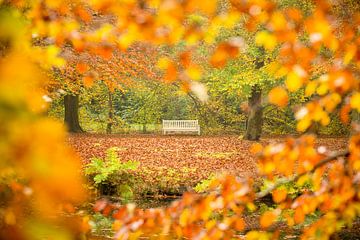 Banc avec une belle vue