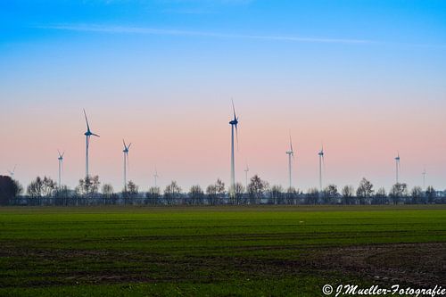 Windmühlen im Sonnenuntergang