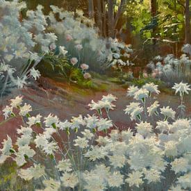 A  Woodland Path with Flowers van Antonije Lazovic