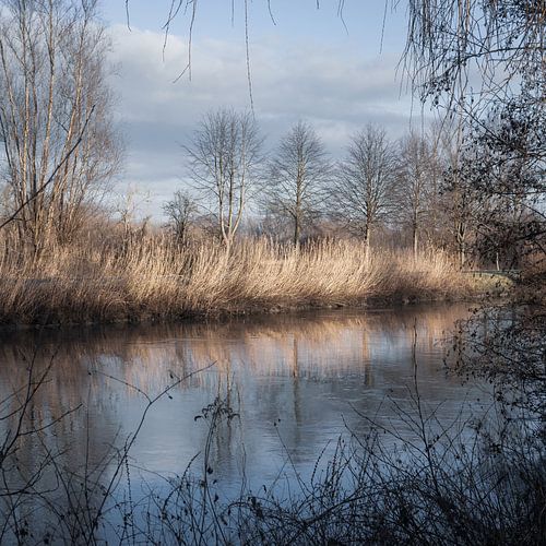 Winterlandschap, de Dender België