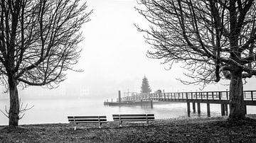 Trees and view of Deventer Overijssel Netherlands in the fog in black and white