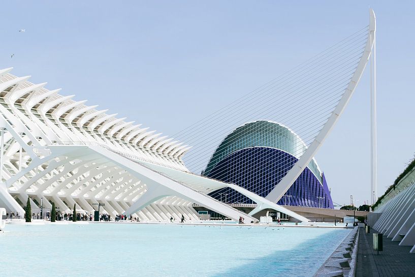 Valencia, Ciudad de las artes y las ciencias by Clazien Boot