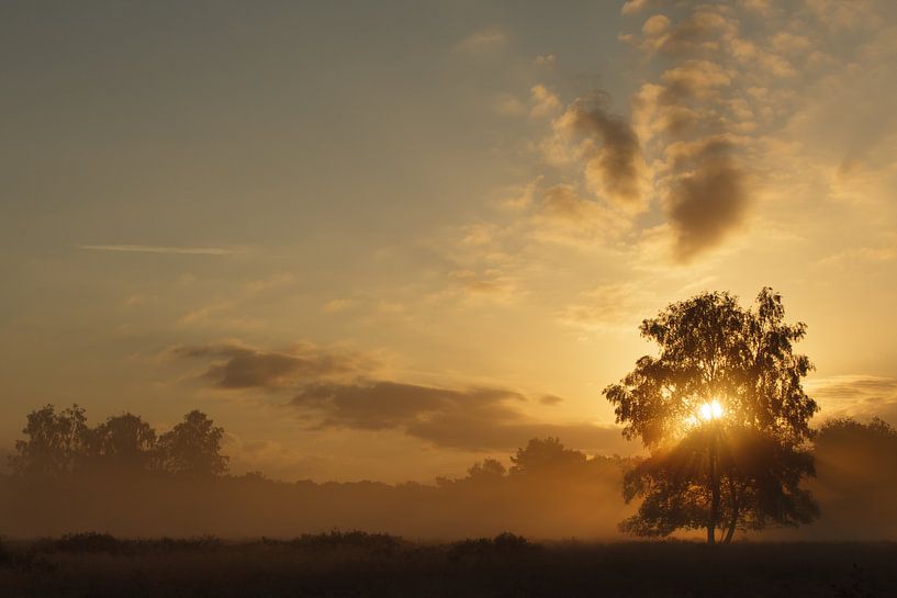 Morgenstimmungen von Hans Koster