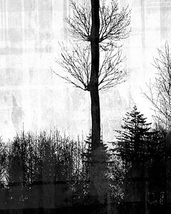 Expressionistische Winter Wald Landschaft von Mad Dog Art