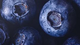 Blueberries by Gerrit Anema