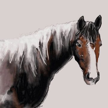 Horse Hazel