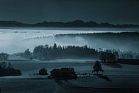 De mist als landschapsschilder