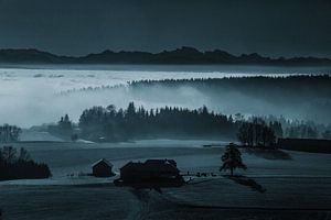 Der Nebel als Landschaftsmaler