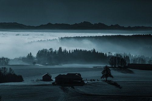 De mist als landschapsschilder