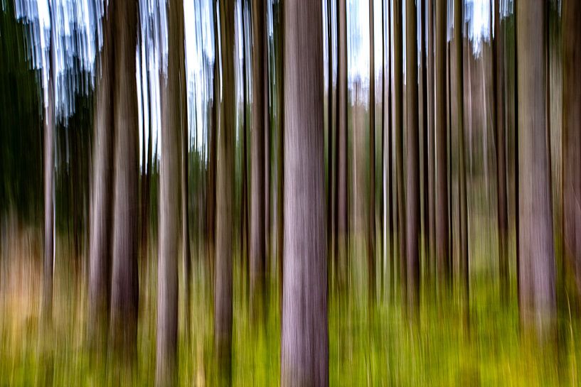 Mitten im Wald (ICM Fotografie) von Ursula Di Chito