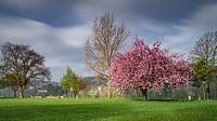 Grafenwerth