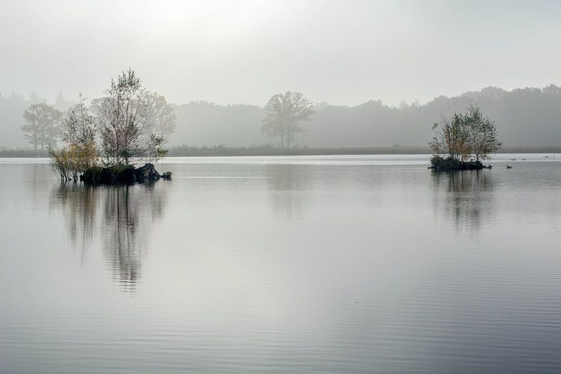 Nevel bij zonsopgang in Mastbos by Erik Snoey