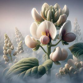 Bean blossoms by Kay Weber