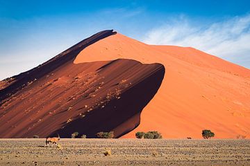 Dune X by Thomas Froemmel