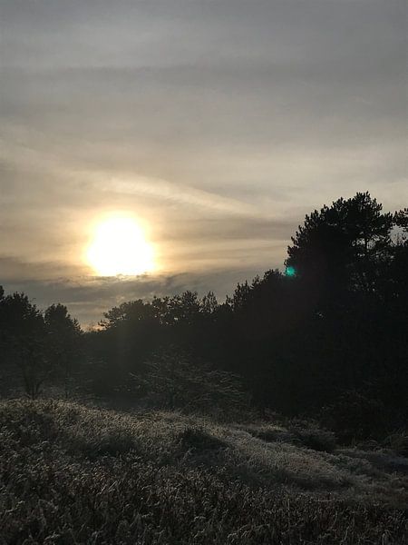 pretty! by Jill Couwenberg