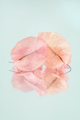 So happy together: Blaadjes in pastelkleuren