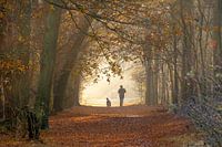 Walking dog