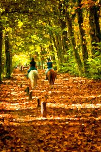 Randonnée d'automne à cheval