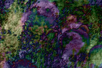 Bloementuin abstract van Elles Rijsdijk