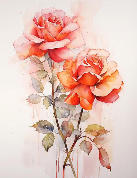 Roses by Wall Wonder