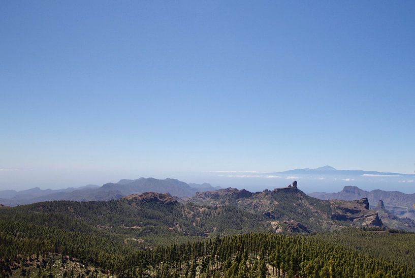 Pico de las nieves van Ilse Photography