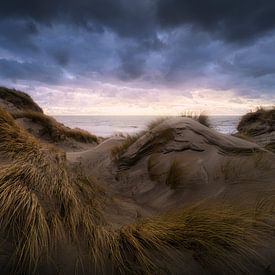 Sfeervolle lucht bij duinen Westenschouwen van Thom Brouwer
