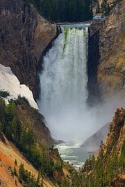 Wasserfall Lower Falls, Yellowstone N.P, Wyoming von Henk Meijer Photography