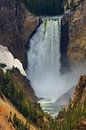 Lower Falls on the Yellowstone river, Wyoming, USA van Henk Meijer Photography thumbnail