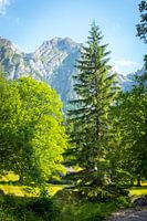 Giewont (le géant endormi)