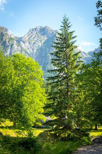 Giewont (de slapende reus)