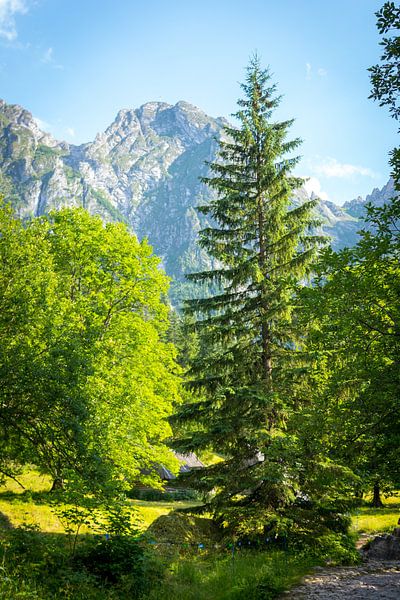 Giewont (de slapende reus) van Gert-Jan Kamans