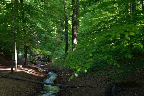 Der Bach Origins auf dem Himmelsberg.