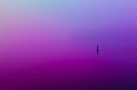 Ultieme leegte door paarse en blauwe mist over de Rijkerswoerdse Plassen van Robert Wiggers thumbnail